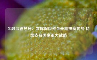 金融监管总局：发挥保险资金长期投资优势 持续支持国家重大战略