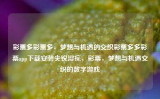 彩票多彩票多，梦想与机遇的交织彩票多多彩票app下载安装尖锐湿疣，彩票，梦想与机遇交织的数字游戏，彩票多彩票，梦想与机遇交织的数字游戏