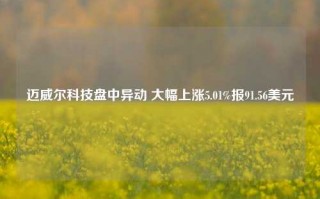 迈威尔科技盘中异动 大幅上涨5.01%报91.56美元