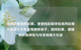 易网彩票易网彩票，便捷购彩新体验易网彩票大乐透十大专家预侧野孩子，易网彩票，便捷购彩新体验与专家预测大乐透，易网彩票，便捷购彩新体验与专家预测的乐透之旅