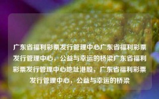 广东省福利彩票发行管理中心广东省福利彩票发行管理中心，公益与幸运的桥梁广东省福利彩票发行管理中心地址港股，广东省福利彩票发行管理中心，公益与幸运的桥梁，广东省福利彩票发行管理中心的公益与幸运桥梁