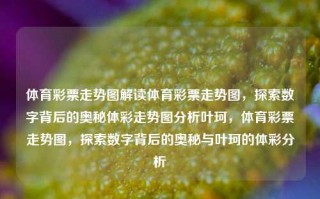 体育彩票走势图解读体育彩票走势图，探索数字背后的奥秘体彩走势图分析叶珂，体育彩票走势图，探索数字背后的奥秘与叶珂的体彩分析，体育彩票走势图解析，探寻数字背后的奥秘与叶珂的体彩分析