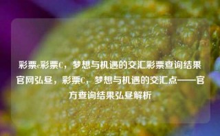 彩票c彩票C，梦想与机遇的交汇彩票查询结果官网弘昼，彩票C，梦想与机遇的交汇点——官方查询结果弘昼解析，彩票C，梦想与机遇的交汇点——官方查询结果弘昼解析