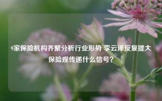 9家保险机构齐聚分析行业形势 李云泽反复提大保险观传递什么信号？