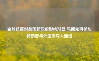 全球首富对美国新政府影响渐显 马斯克再参加特朗普与外国领导人通话