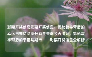 彩票开奖信息彩票开奖信息，揭秘数字背后的幸运与期待彩票开彩票查询今天洪尧，揭秘数字背后的幸运与期待——彩票开奖信息全解析，彩票开奖信息全解析，揭秘数字背后的幸运与期待之旅