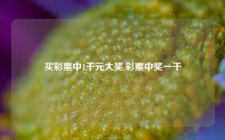 买彩票中1千元大奖,彩票中奖一千