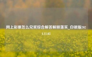 网上彩票怎么兑奖综合解答解释落实_白银版2024.11.03