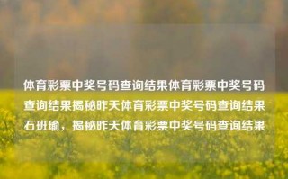 体育彩票中奖号码查询结果体育彩票中奖号码查询结果揭秘昨天体育彩票中奖号码查询结果石班瑜，揭秘昨天体育彩票中奖号码查询结果，体育彩票中奖号码揭秘，昨天的查询结果出炉