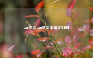 310彩票,310彩票中国足彩网