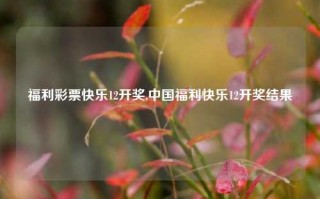 福利彩票快乐12开奖,中国福利快乐12开奖结果