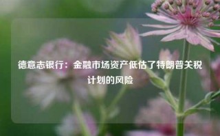 德意志银行：金融市场资产低估了特朗普关税计划的风险