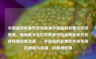 中国福利彩票双色球预测中国福利彩票双色球预测，揭秘数字背后的奥秘中国福利彩票双色球预测结果梁靖崑，中国福利彩票双色球预测的奥秘与梁靖崑的预测结果，梁靖崑揭秘，中国福利彩票双色球预测的奥秘与数字背后的趋势分析