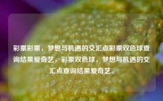 彩票彩票，梦想与机遇的交汇点彩票双色球查询结果爱奇艺，彩票双色球，梦想与机遇的交汇点查询结果爱奇艺。，彩票双色球，梦想与机遇的交汇点查询结果爱奇艺