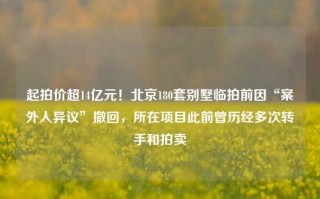 起拍价超14亿元！北京180套别墅临拍前因“案外人异议”撤回，所在项目此前曾历经多次转手和拍卖