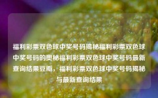 福利彩票双色球中奖号码揭秘福利彩票双色球中奖号码的奥秘福利彩票双色球中奖号码最新查询结果豆瓣，福利彩票双色球中奖号码揭秘与最新查询结果，福利彩票双色球中奖号码揭秘与最新查询结果汇总