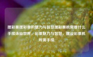 摆彩票摆彩票的魅力与智慧摆彩票机需要什么手续诛仙世界，彩票魅力与智慧，摆设彩票机所需手续，彩票魅力与智慧，摆设彩票机所需手续解析。