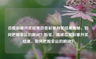 百度彩票开奖结果百度彩票开奖结果揭秘，如何把握幸运的瞬间？粉笔，揭秘百度彩票开奖结果，如何把握幸运的瞬间？，百度彩票开奖结果揭秘，如何把握幸运的瞬间？