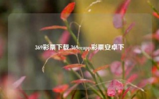 369彩票下载,369ccapp彩票安卓下