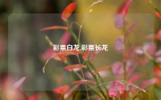 彩票白龙,彩票长龙