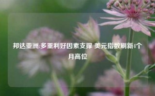 邦达亚洲:多重利好因素支撑 美元指数刷新4个月高位