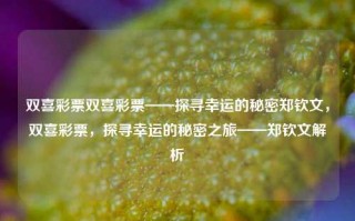 双喜彩票双喜彩票——探寻幸运的秘密郑钦文，双喜彩票，探寻幸运的秘密之旅——郑钦文解析，郑钦文解析，双喜彩票的幸运秘密之旅