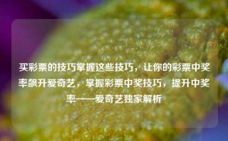 买彩票的技巧掌握这些技巧，让你的彩票中奖率飙升爱奇艺，掌握彩票中奖技巧，提升中奖率——爱奇艺独家解析，掌握彩票中奖技巧，提升中奖率——爱奇艺独家解析秘籍