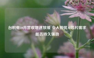 台积电10月营收增速放缓 令人担忧AI芯片需求能否持久强劲