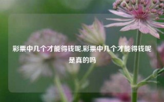 彩票中几个才能得钱呢,彩票中几个才能得钱呢是真的吗