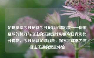 足球彩票今日竞彩今日竞彩足球彩票——探索足球的魅力与投注的乐趣足球彩票今日竞彩比分得物，今日竞彩足球彩票，探索足球魅力与投注乐趣的双重体验，今日竞彩足球彩票，探索足球魅力与投注乐趣的双重体验