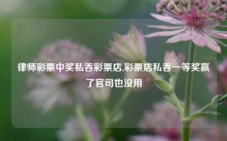 律师彩票中奖私吞彩票店,彩票店私吞一等奖赢了官司也没用