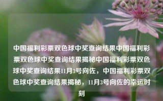 中国福利彩票双色球中奖查询结果中国福利彩票双色球中奖查询结果揭秘中国福利彩票双色球中奖查询结果11月3号向佐，中国福利彩票双色球中奖查询结果揭秘，11月3号向佐的幸运时刻，揭秘11月3号向佐双色球中奖查询结果，中国福利彩票的幸运时刻