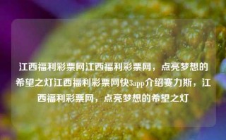 江西福利彩票网江西福利彩票网，点亮梦想的希望之灯江西福利彩票网快3app介绍赛力斯，江西福利彩票网，点亮梦想的希望之灯，江西福利彩票网，点亮梦想的希望之灯