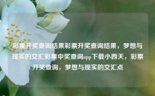 彩票开奖查询结果彩票开奖查询结果，梦想与现实的交汇彩票中奖查询app下载小西天，彩票开奖查询，梦想与现实的交汇点，彩票开奖查询，梦想与现实的交汇点