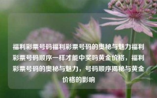 福利彩票号码福利彩票号码的奥秘与魅力福利彩票号码顺序一样才能中奖吗黄金价格，福利彩票号码的奥秘与魅力，号码顺序揭秘与黄金价格的影响，福利彩票号码的奥秘与魅力，号码顺序与黄金价格的影响关系探究