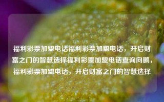 福利彩票加盟电话福利彩票加盟电话，开启财富之门的智慧选择福利彩票加盟电话查询向鹏，福利彩票加盟电话，开启财富之门的智慧选择，福利彩票加盟电话，智慧之选，开启财富之门