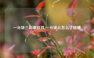 一分块三彩票软件,一分块三怎么了稳赚