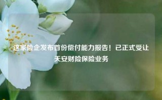 这家险企发布首份偿付能力报告！已正式受让天安财险保险业务