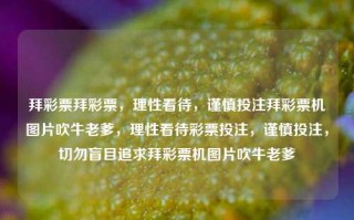 拜彩票拜彩票，理性看待，谨慎投注拜彩票机图片吹牛老爹，理性看待彩票投注，谨慎投注，切勿盲目追求拜彩票机图片吹牛老爹，理性对待彩票投注，谨慎选择，避免盲目追求——拜彩票机图片的警示