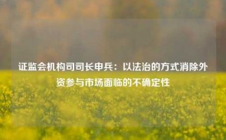 证监会机构司司长申兵：以法治的方式消除外资参与市场面临的不确定性