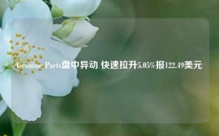 Genuine Parts盘中异动 快速拉升5.05%报122.49美元