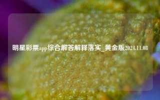 明星彩票app综合解答解释落实_黄金版2024.11.08