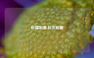 巨幅彩票,巨灾彩票