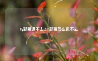 8g彩票进不去,248彩票怎么进不去