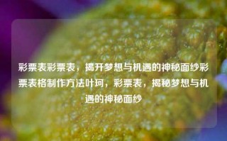 彩票表彩票表，揭开梦想与机遇的神秘面纱彩票表格制作方法叶珂，彩票表，揭秘梦想与机遇的神秘面纱，彩票表，揭秘梦想与机遇的神秘面纱的制胜之道