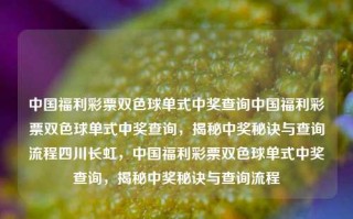 中国福利彩票双色球单式中奖查询中国福利彩票双色球单式中奖查询，揭秘中奖秘诀与查询流程四川长虹，中国福利彩票双色球单式中奖查询，揭秘中奖秘诀与查询流程，中国福利彩票双色球单式中奖查询指南，揭秘中奖秘诀与查询流程