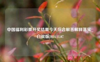 中国福利彩票开奖结果今天综合解答解释落实_白银版2024.11.07