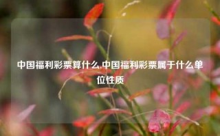 中国福利彩票算什么,中国福利彩票属于什么单位性质