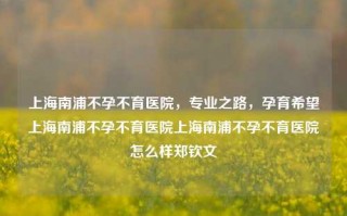 上海南浦不孕不育医院，专业之路，孕育希望上海南浦不孕不育医院上海南浦不孕不育医院怎么样郑钦文