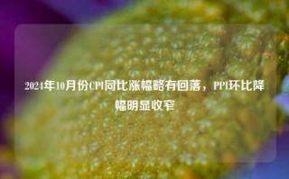 2024年10月份CPI同比涨幅略有回落，PPI环比降幅明显收窄